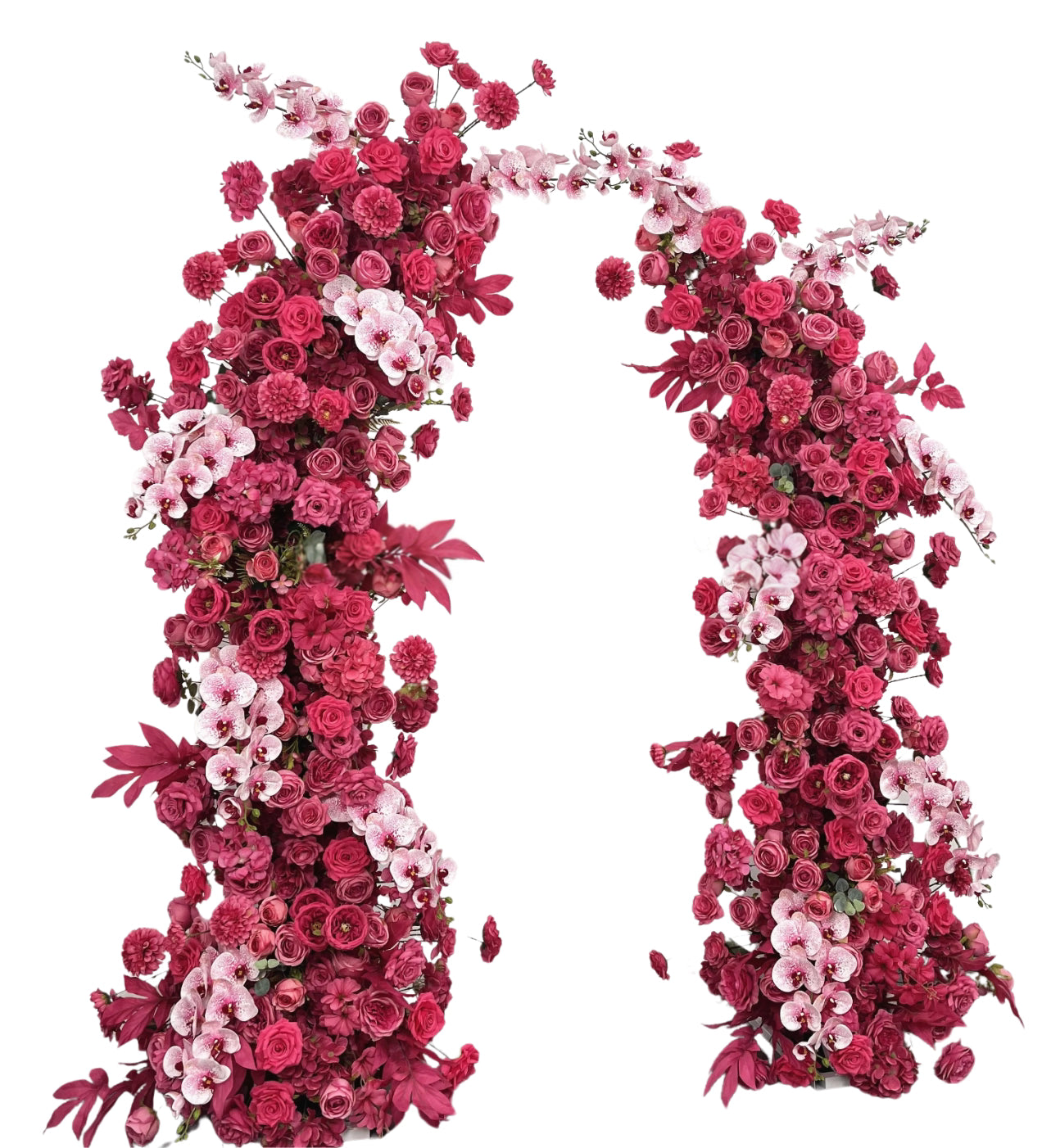 Arche Full Rose & Rose Fuchsia