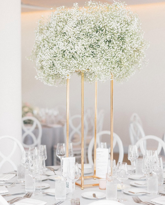 Pack Décoration “Gypsophile Éternelle”